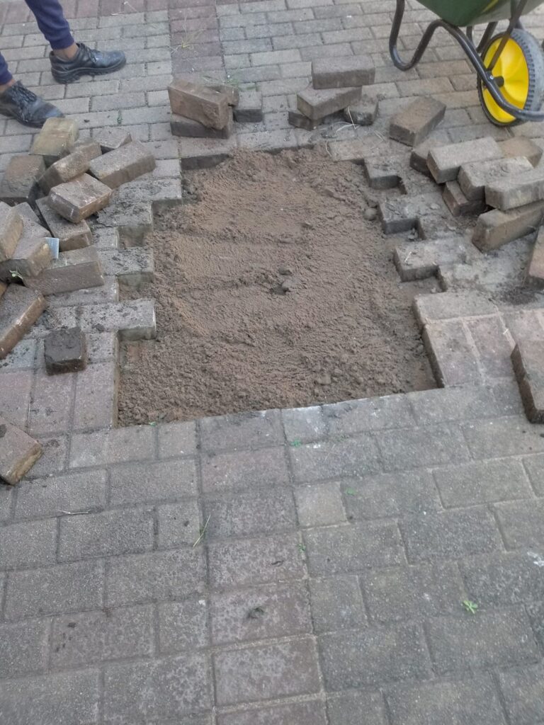 253ed215-3d3d-4ebd-ad9e-c2421f8b7076