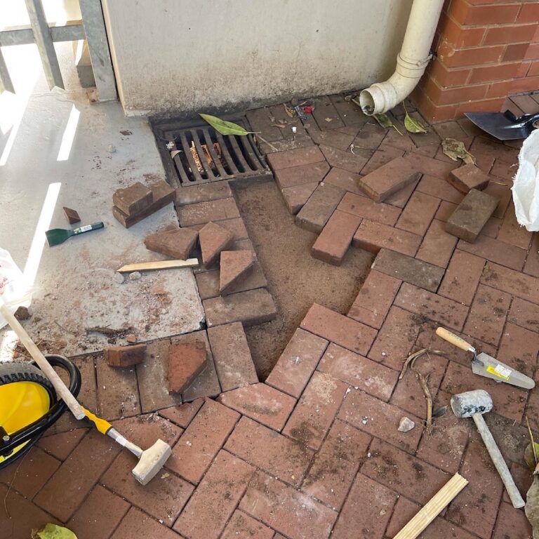 3FA83BA8-D8FA-4597-A901-65DAE9B3993C 2