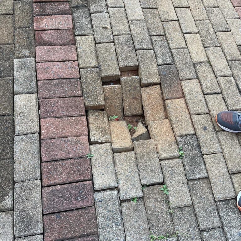 674FC9E7-08F6-473D-9D21-969BF84C44A0-min