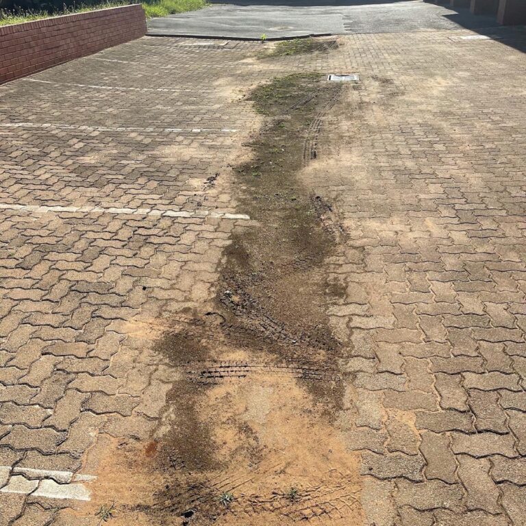 E468BED6-597D-4444-A98F-4CA8CE7E9383