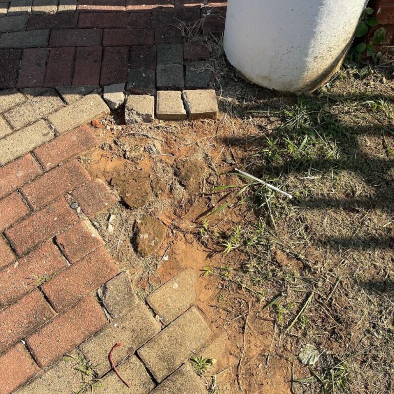 FCFEC6E2-D9F7-43C9-9CC0-77A107075468