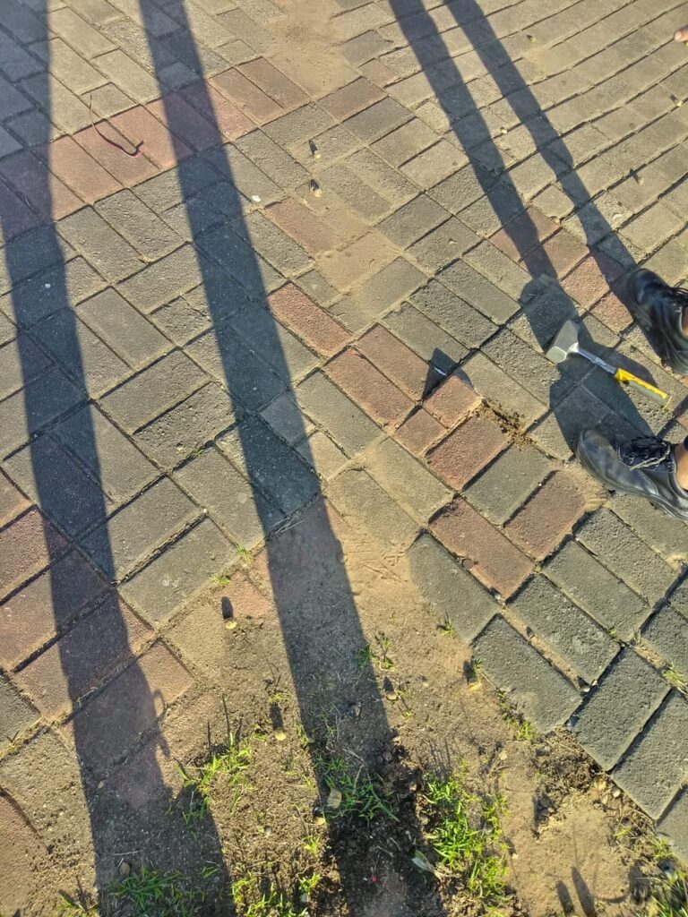 f3306698-e3d5-435a-bced-5ed4e02857e1