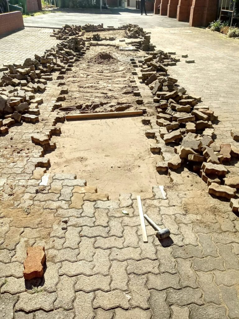 fe803094-c3d0-4a6d-9d24-85a3117eb174-min